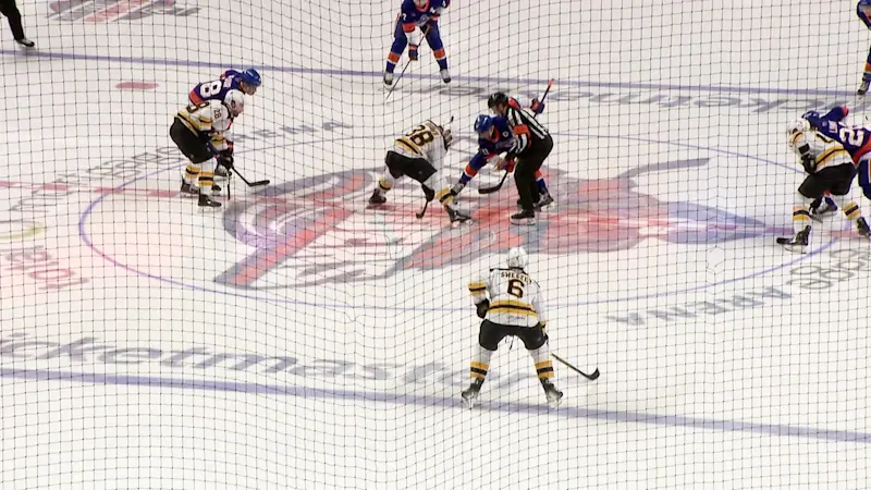 Story image: Check out a hockey game with the Bridgeport Islanders that is sure to score with the family