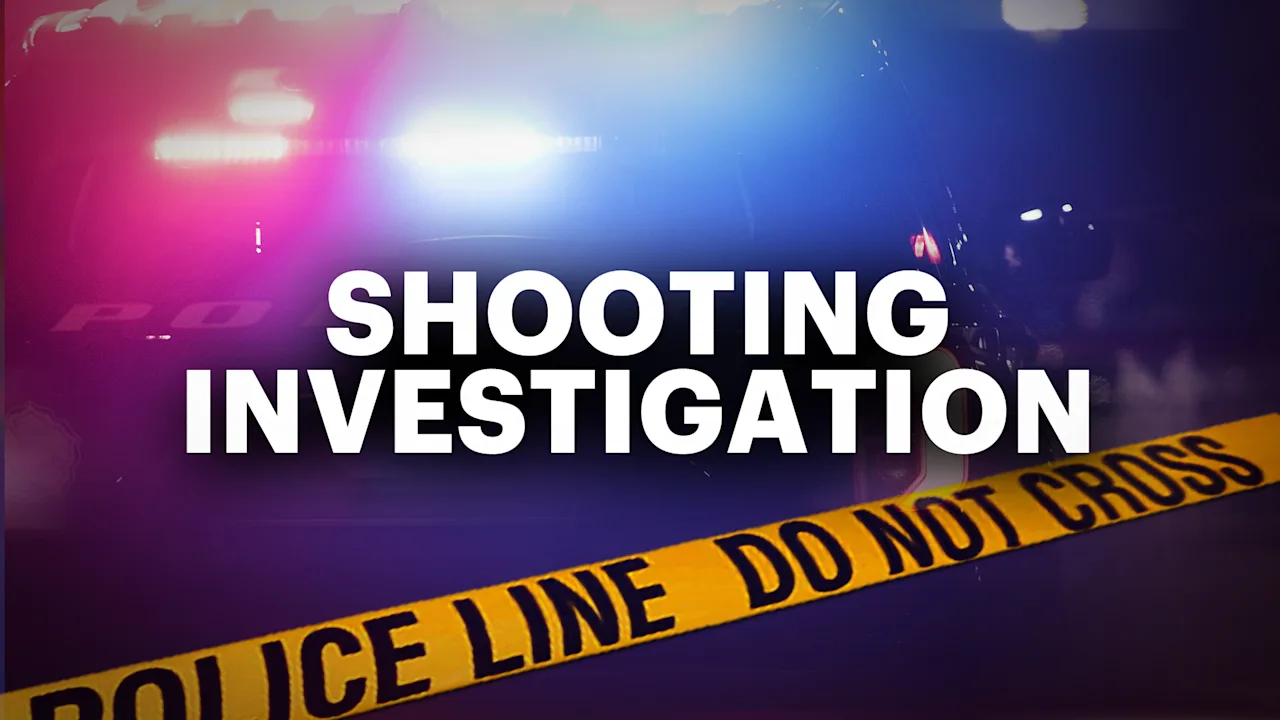 SHOOTING INVESTIGATION generic MONITOR copy