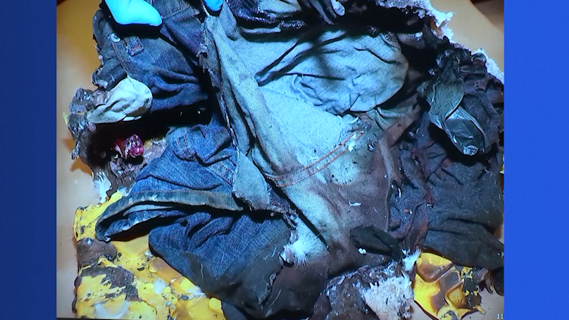 Story image: Testimony: DNA found at Paul Caneiro’s home matched that of his niece; bullets matched his gun