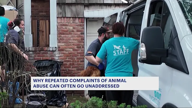 Story image: Why repeated complaints of suspected animal cruelty often go unanswered