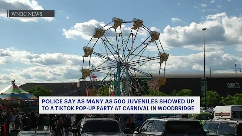 Story image: Police: TikTok gathering breaks out into brawl at Woodbridge carnival