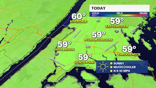 BRONX TODAY