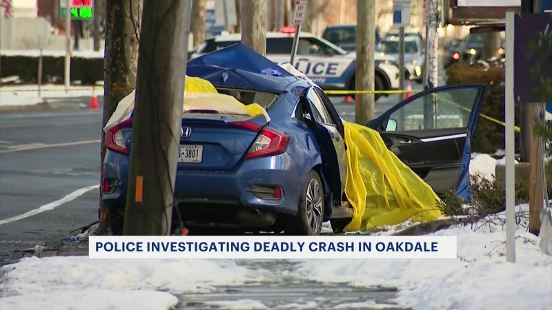 Story image: Wyandanch woman dies after car strikes tree in Oakdale