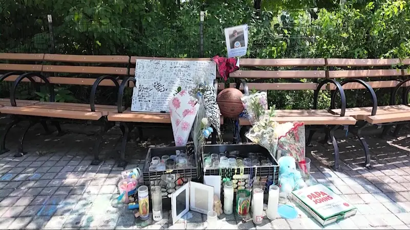 Story image: Elected officials call for NYPD safety upgrades following fatal stabbing of 14-year-old in Williamsbridge Oval Park 