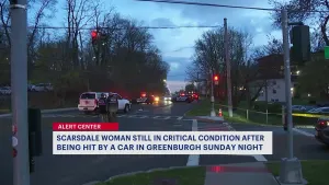 Police: Greenburgh pedestrian struck by car at intersection, remains in critical condition