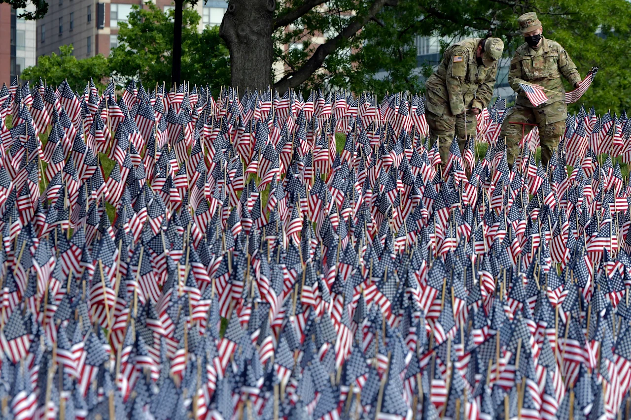 Article 263703 Hero Image