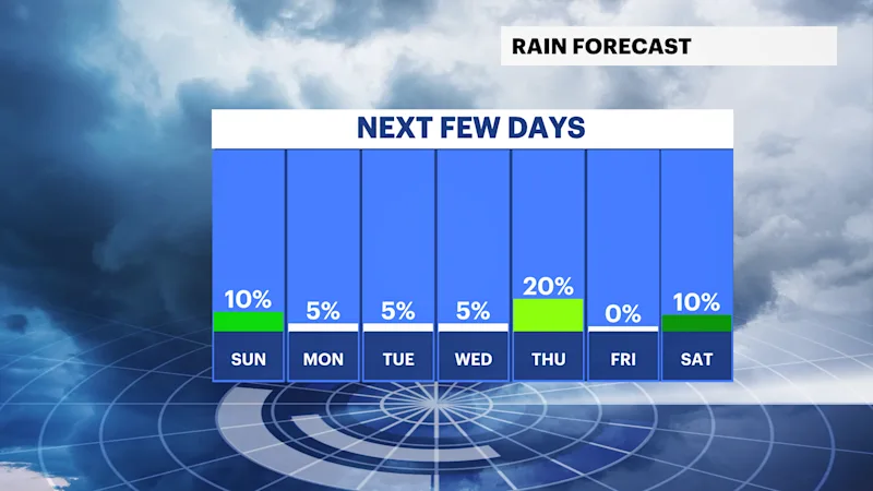 DAILY RAIN.png