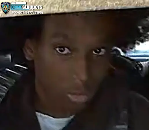 Story image: 3 in custody, 4th sought in Bronx shooting that injured 87-year-old woman