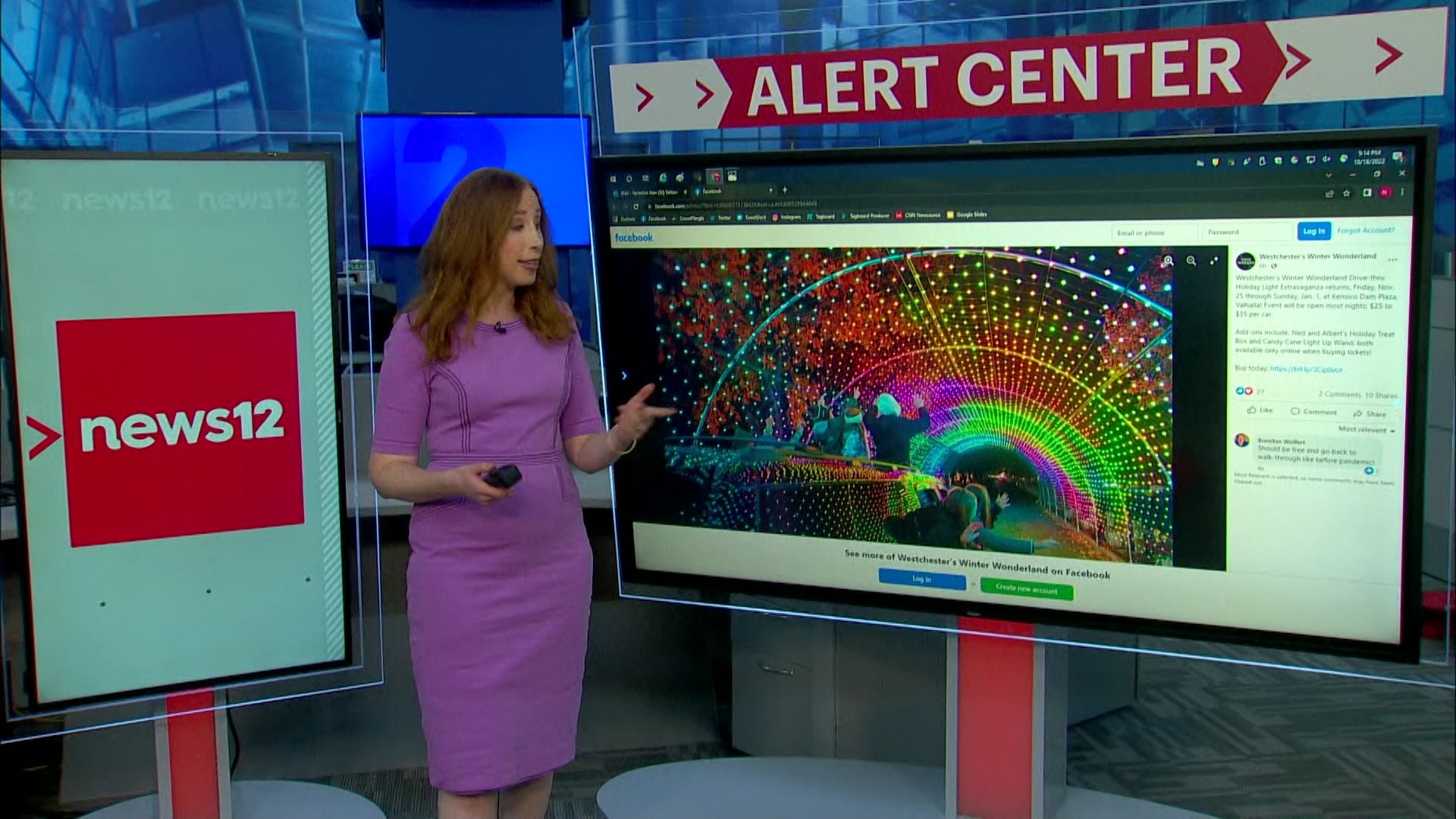 Holiday Lights Westchester’s Winter Wonderland to return to Valhalla