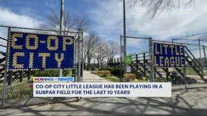 Co-op City Little League president pushes for quick field repairs before opening game in 3 weeks