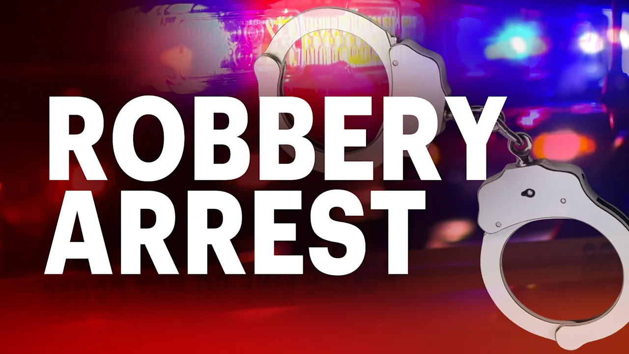 ROBBERY ARREST copy