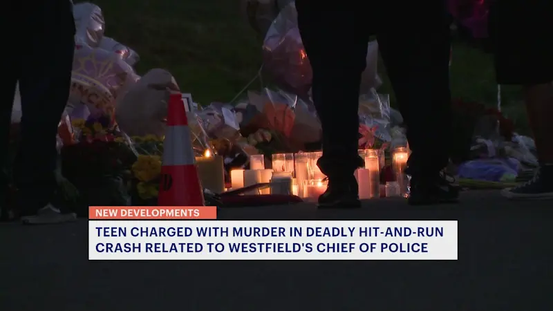 Story image: Teen charged in deadly hit-and-run in Cranford is related to Westfield police chief