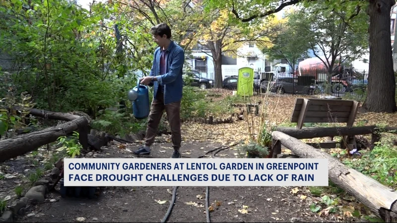 Story image: Community gardeners in Greenpoint dealing with drought due to lack of rain