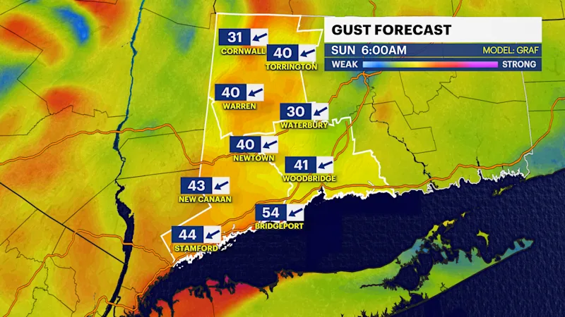 CT GUST.png