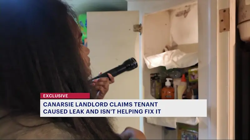 Story image: Canarsie landlord claims tenant causing leak and mold issues