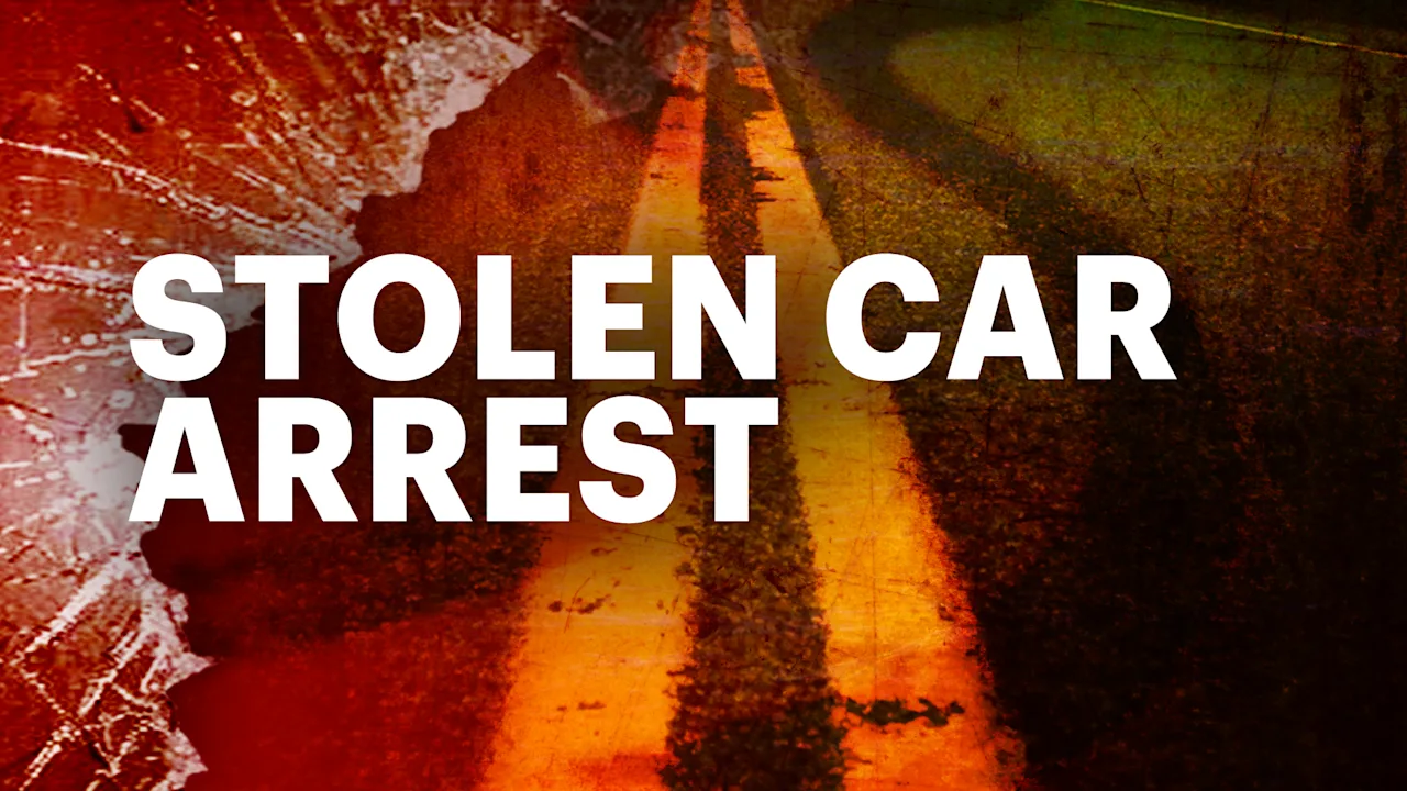 Stolen Car Arrest mon