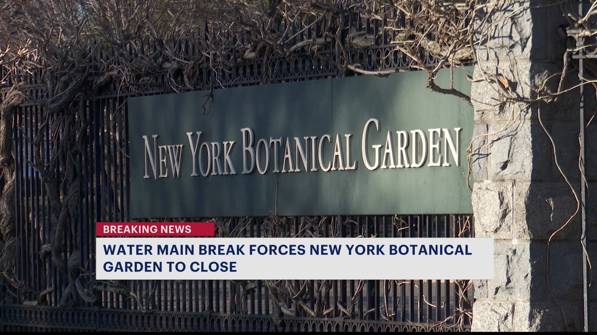 Water main break shuts down New York Botanical Garden