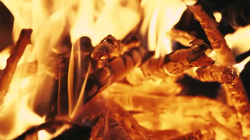 Story image: Burn ban in effect across New York state 