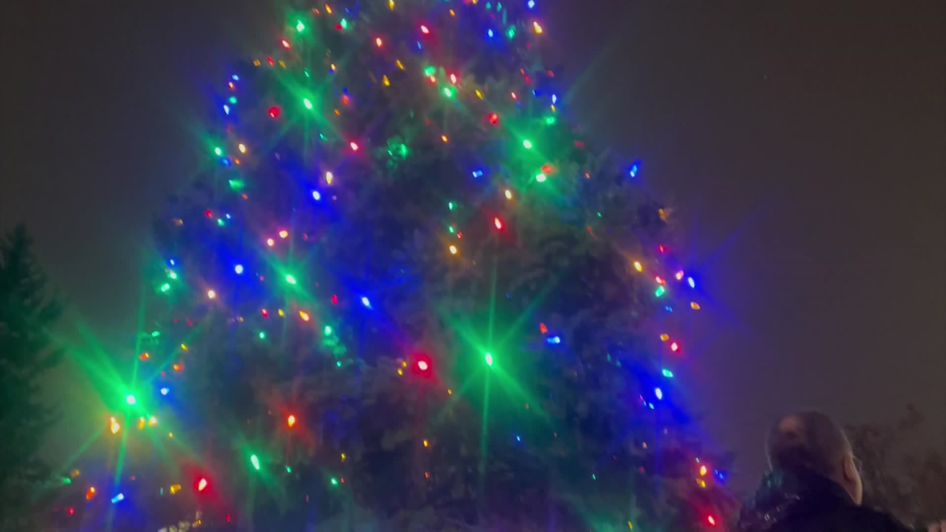 News 12's Biordi emcees Floral Park tree lighting