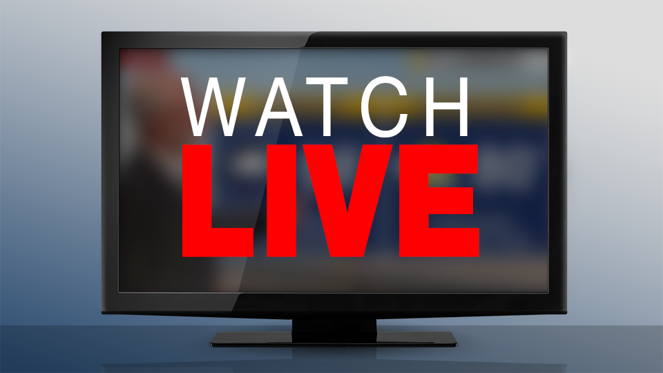 Article 13909 Thumbnail