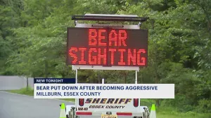 Authorities: Bear put down after becoming aggressive in Millburn park