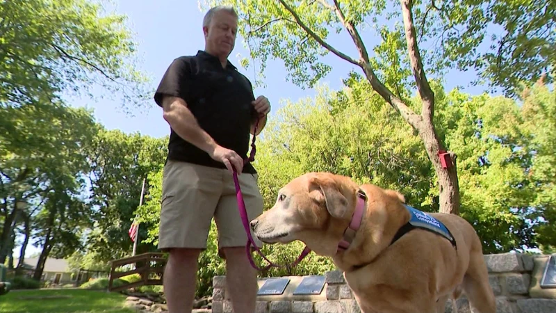 Story image: The Dogs of 9/11 Part 3: Holtsville first responder finds relief after being paired with service dog 