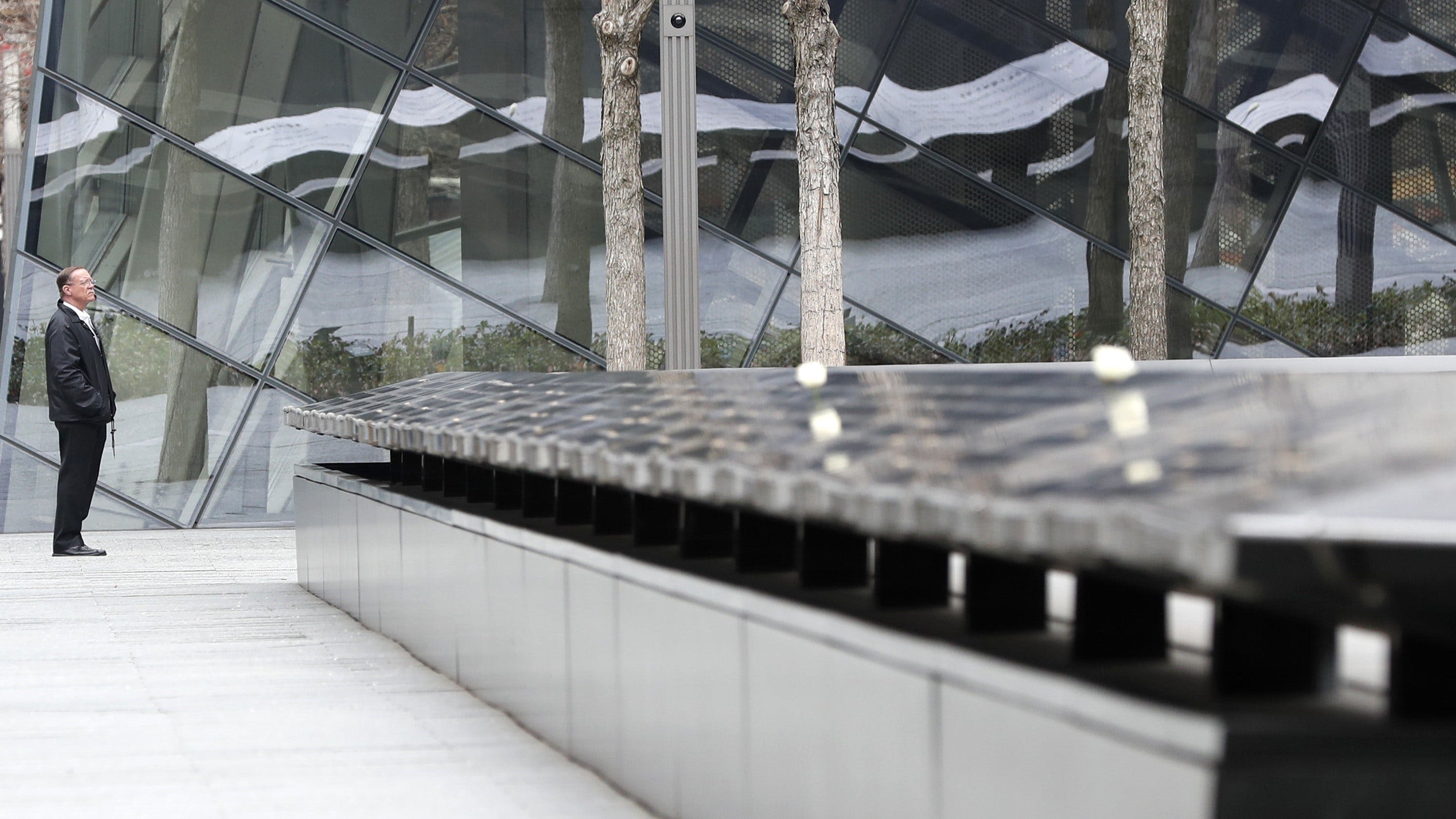 Survivor Tree Leaves  National September 11 Memorial & Museum