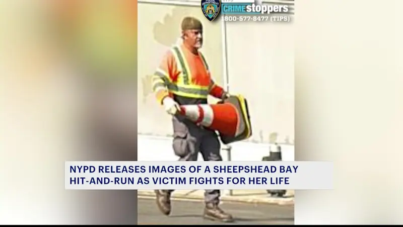 Story image: NYPD releases images in Sheepshead Bay hit-and-run that left 76-year-old woman critically hurt