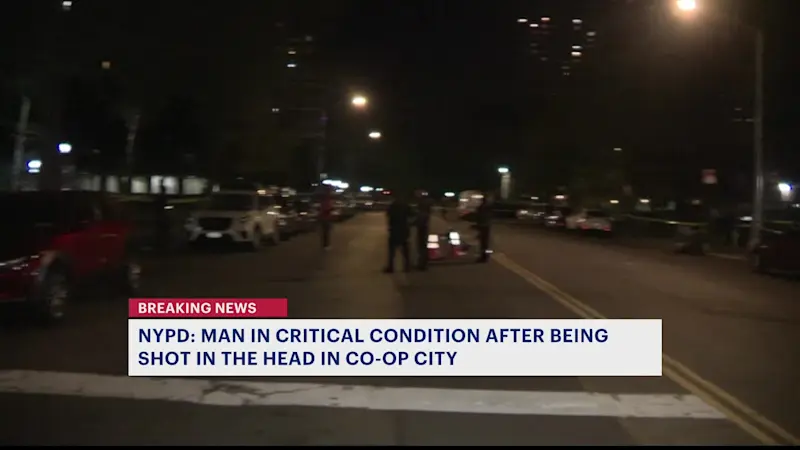 Story image: Man in critical condition after shooting in Co-op City