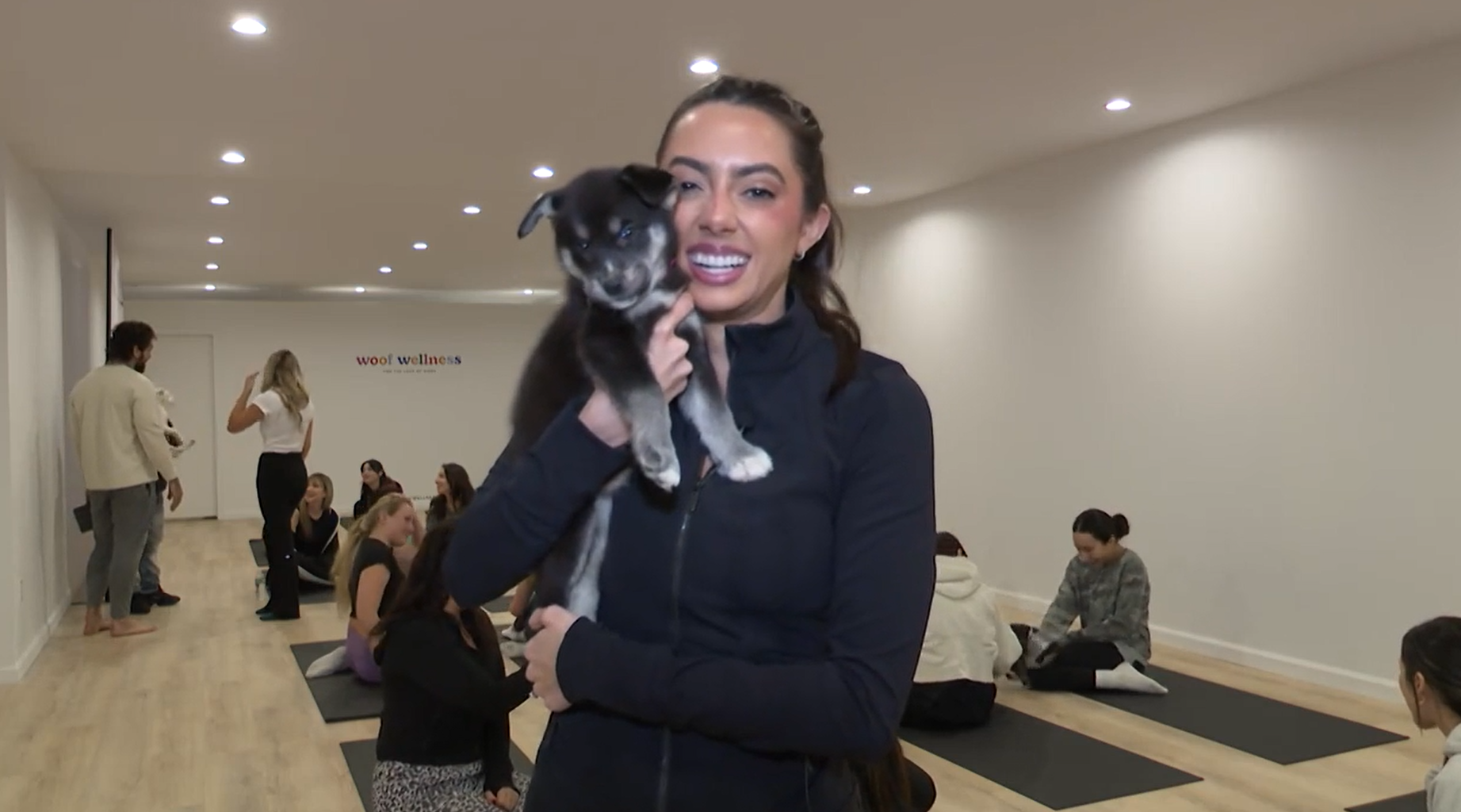 Woof Wellness