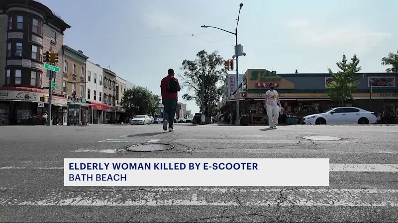 Story image: 76-year-old woman killed in Bath Beach hit-and-run 