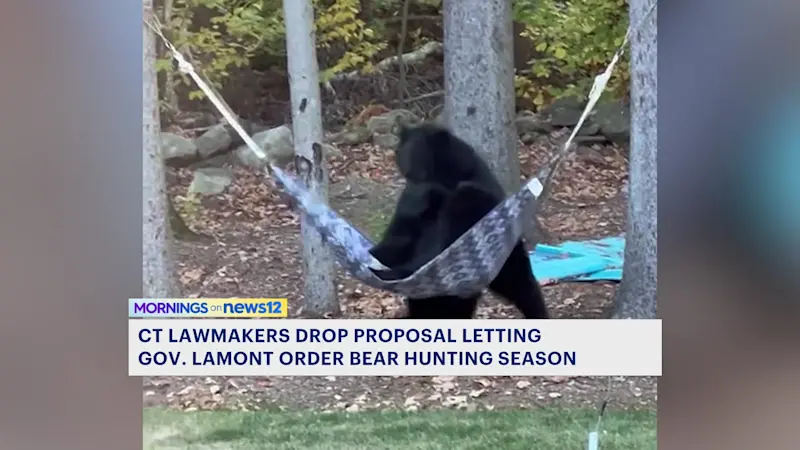 Story image: No bear hunt for Connecticut as lawmakers opt for study