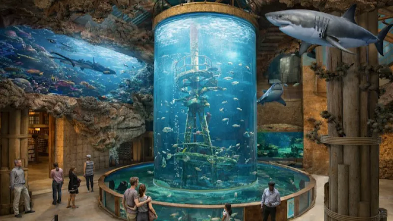 BASS_PRO_SHOPS_2.png