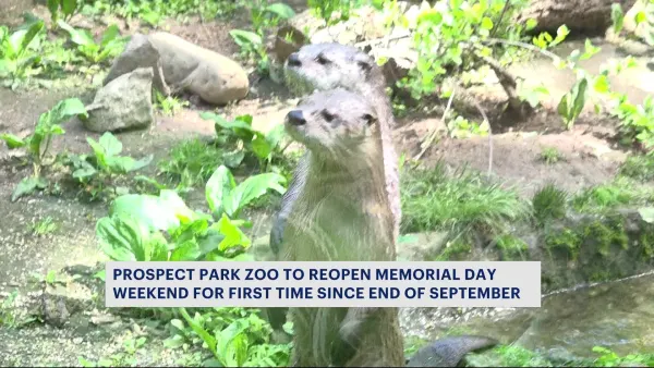Prospect Park Zoo to reopen for first time since September