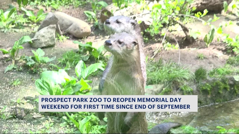 Story image: Prospect Park Zoo to reopen for first time since September