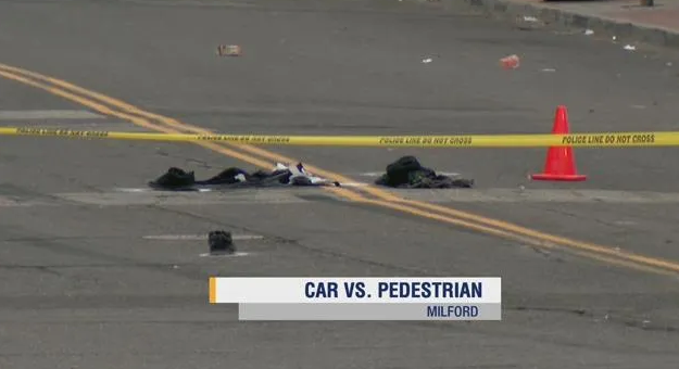 Article 108342 Thumbnail