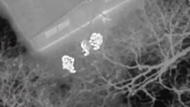 Story image: Suffolk police use drone to find shoplifting suspect in Huntington