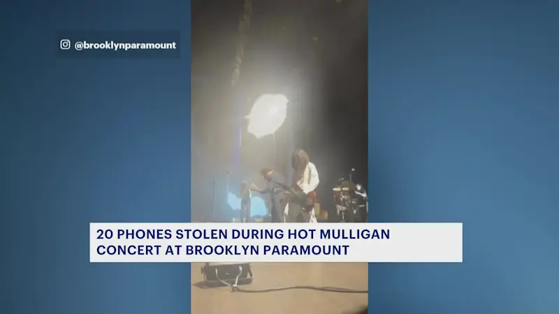 Story image: 20 phones swiped from concertgoers at Brooklyn Paramount