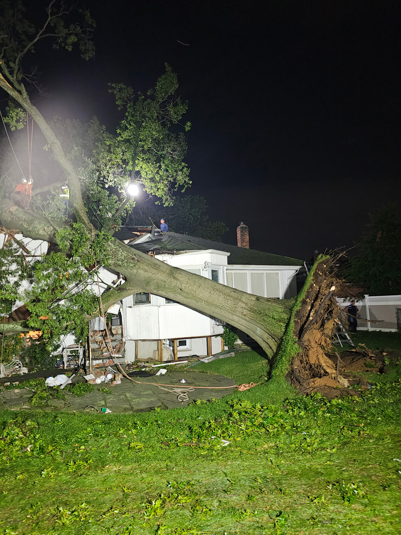 Tree crashes into and severely damages Westbury home; rescue groups say dozens of cats are trapped inside