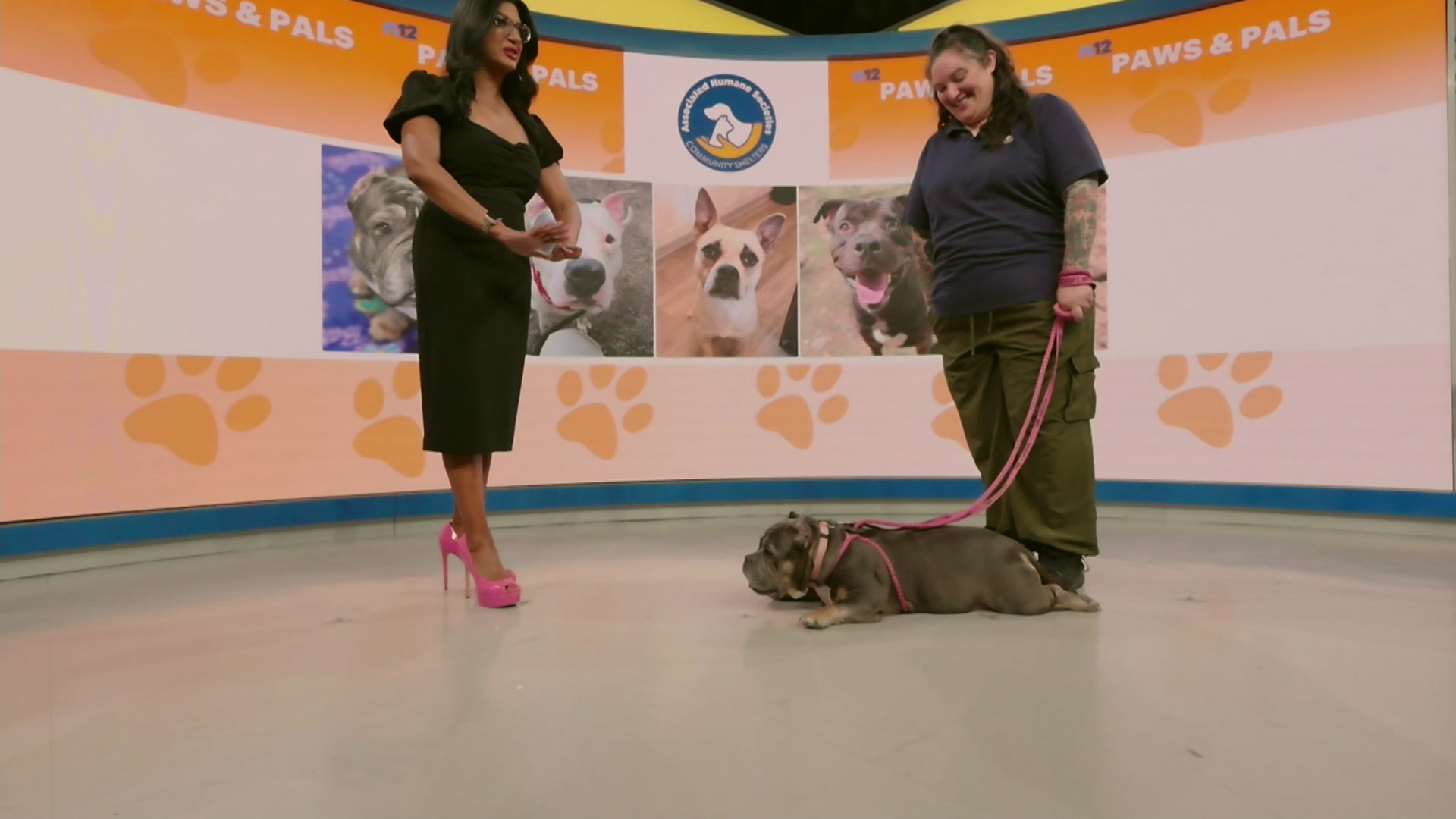 58pawsandpals_2026-05-08-08-27-05