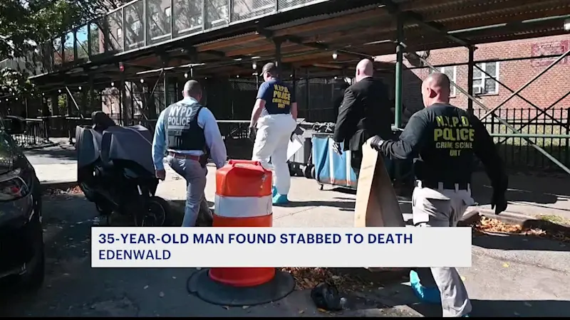 Story image: Arrest made in fatal stabbing at Edenwald Houses