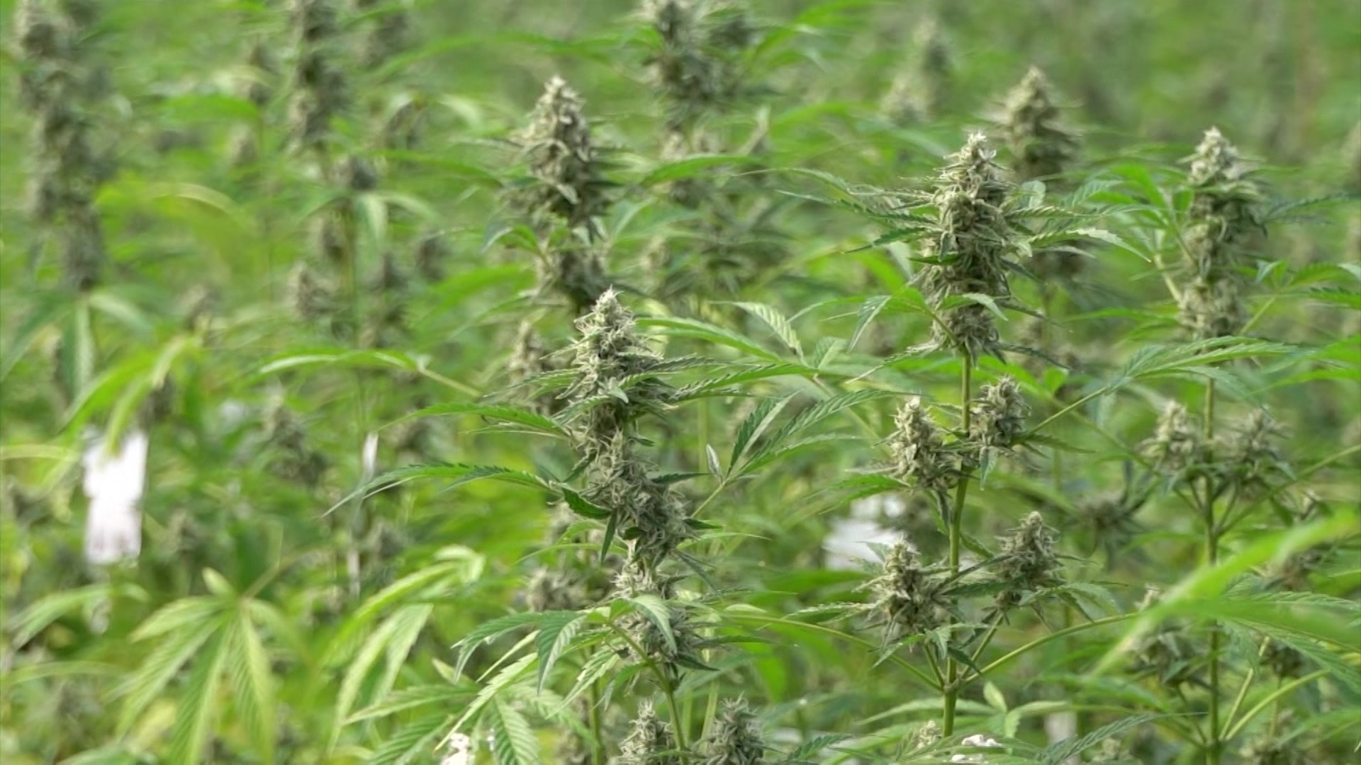 4202026NJminj_2026-04-20-07-28-15