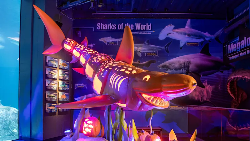 Adventure_Aquarium_Fintastic_Pumpkin_Glow_03.jpg