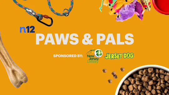 Paws and Pals NJ 