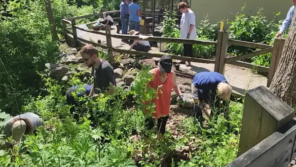 Jersey Proud: Senior citizens help clean up banks of Musconetcong River