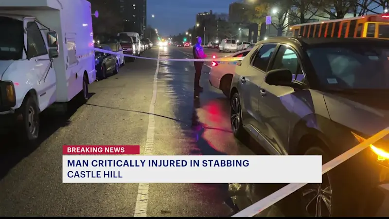 Story image: Man stabbed in back and abdomen overnight in Castle Hill