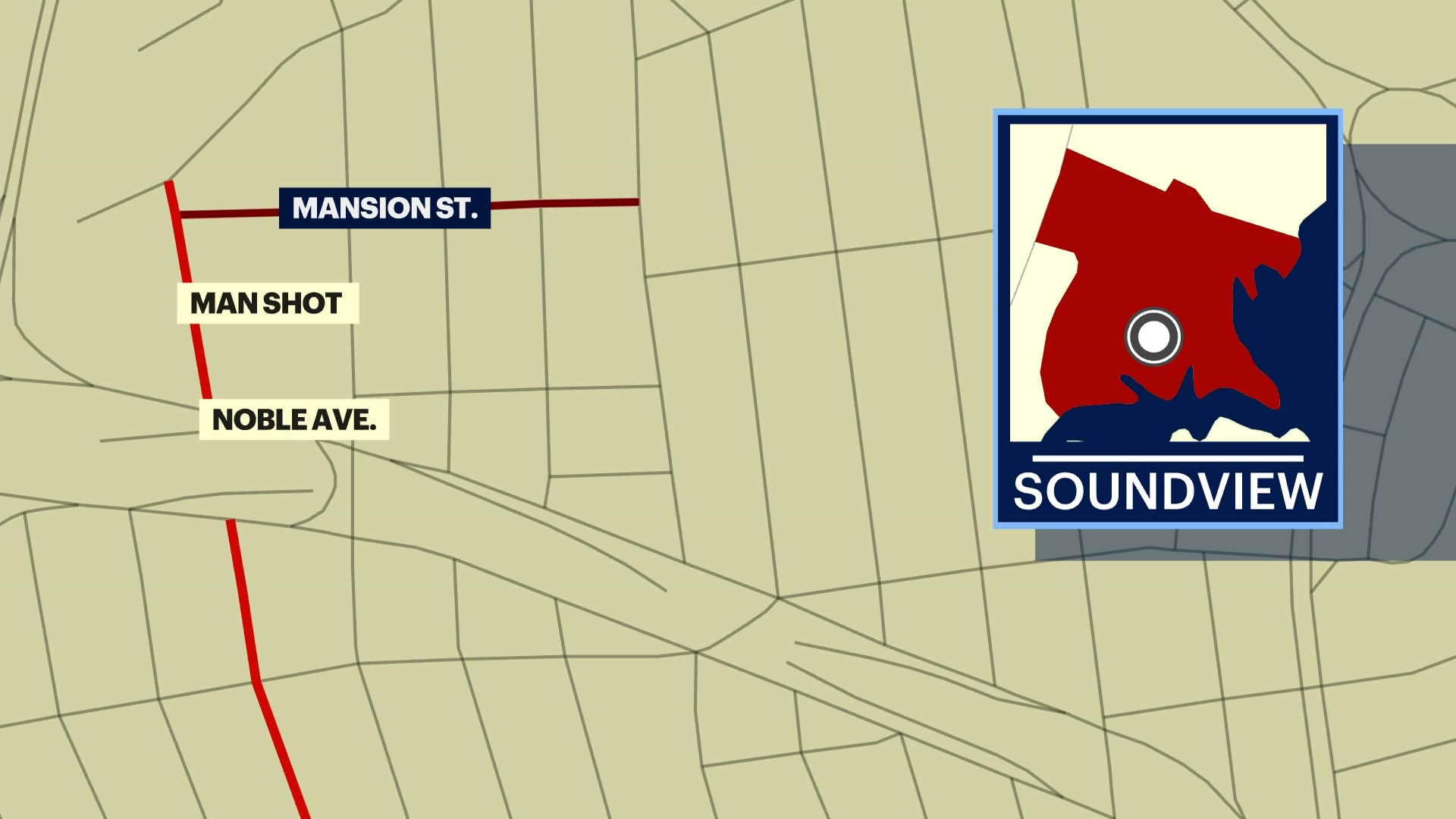 News 12 | Long Island | Nypd 23 Year Old Man Shot In Soundview Gunman ...