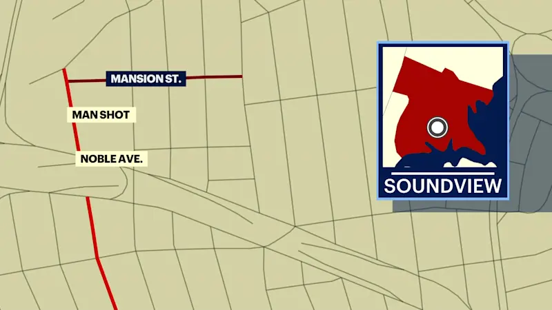 Story image: NYPD: 23-year-old man shot in Soundview; gunman at large