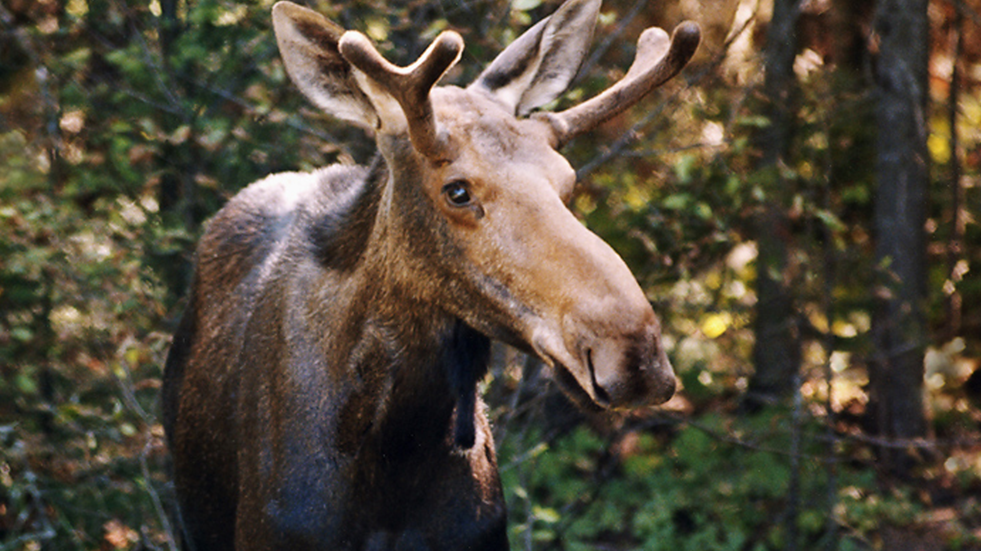 Article 307113 Hero Image