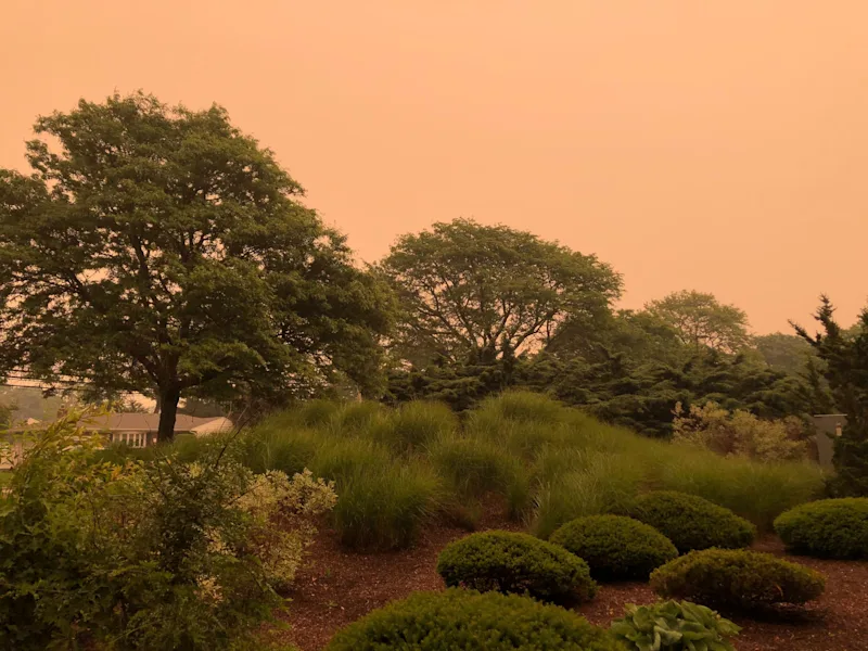 WILDFIRE5.jpg